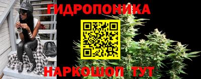 гидропоника Ивантеевка