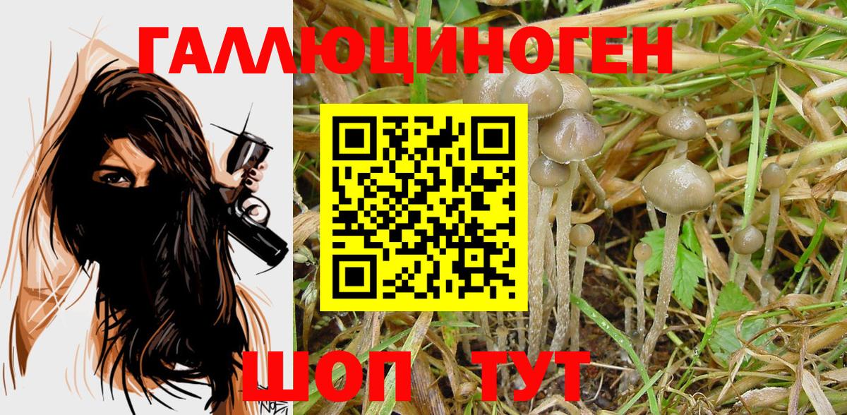Галлюциногенные грибы MAGIC MUSHROOMS Краснодар