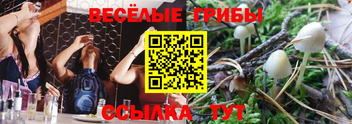 Краснодар  Галлюциногенные грибы Psilocybe  Вход с VPN 